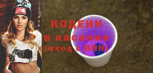 индика Артём