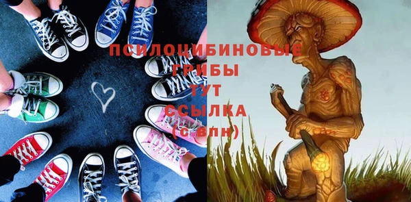 индика Артём