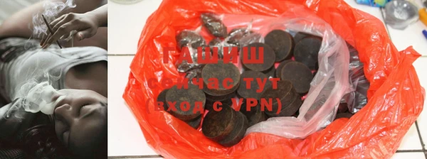индика Артём