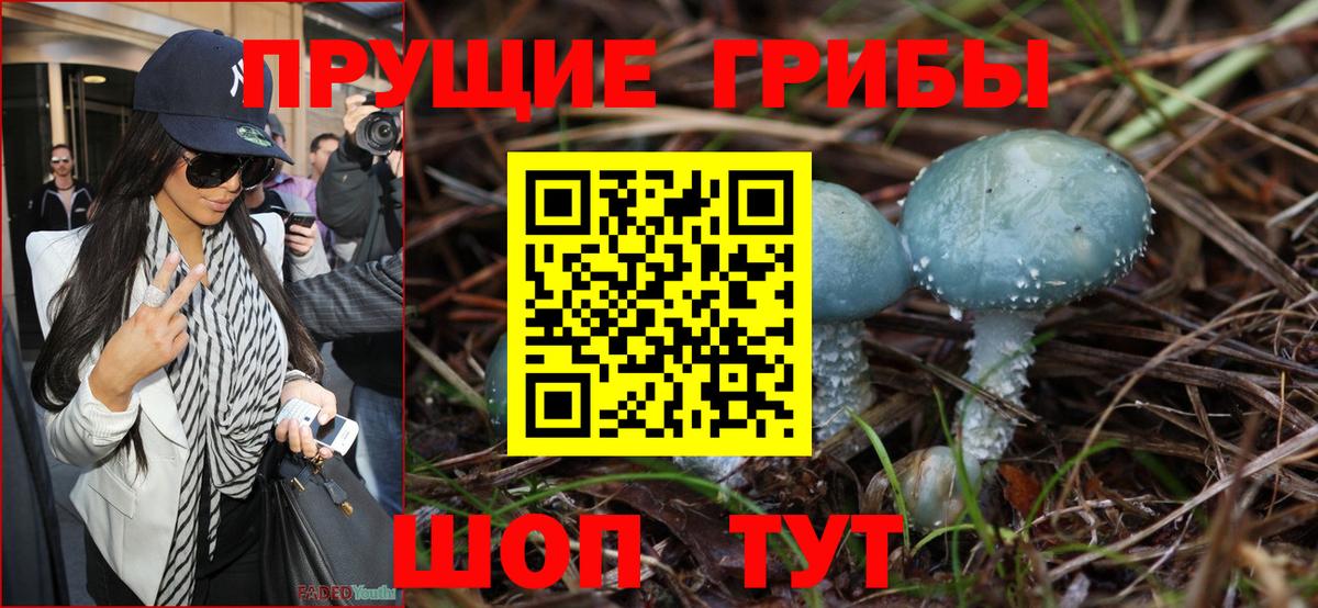 Галлюциногенные грибы прущие грибы Каменск-Шахтинский