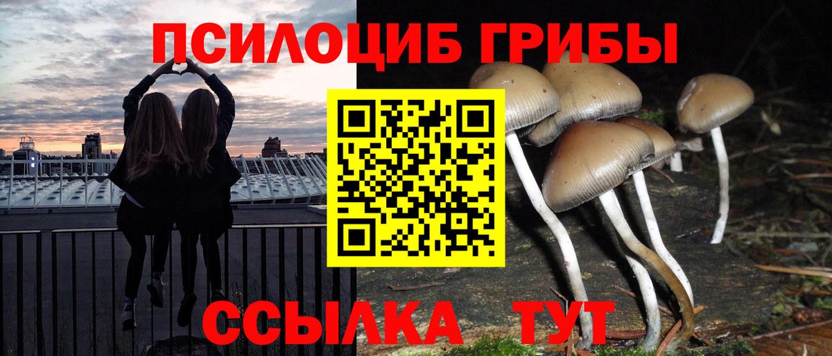 Псилоцибиновые грибы Psilocybine cubensis  Вход с VPN  Каменск-Шахтинский 